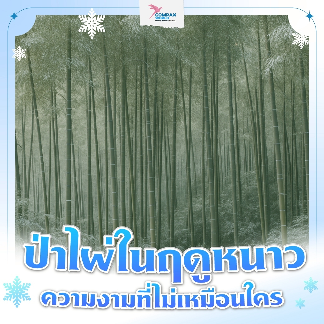 เที่ยวจีน ทัวร์จีน พรีเมี่ยม โปรแกรมเที่ยวจีน